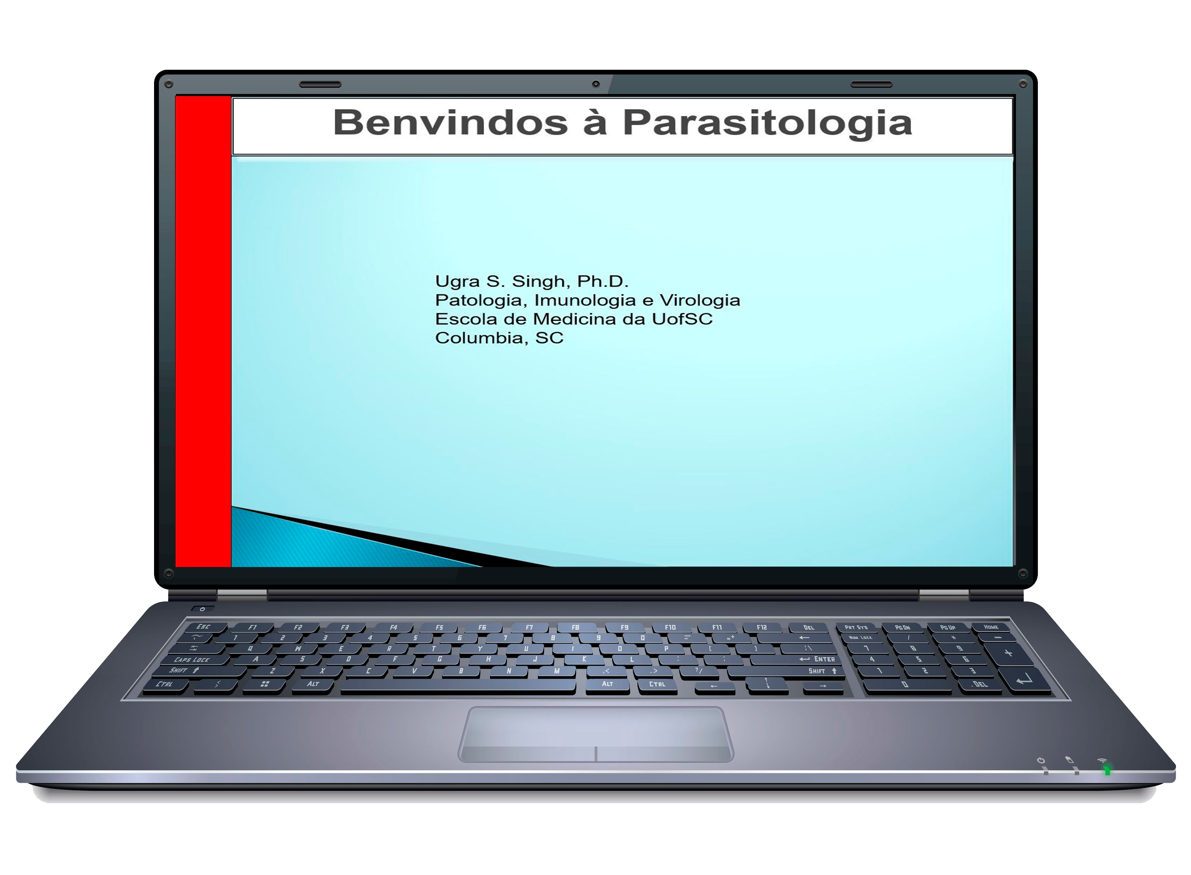 Parasitologia Aula Protozoários Intestinais e Luminais Aprenda Plugado